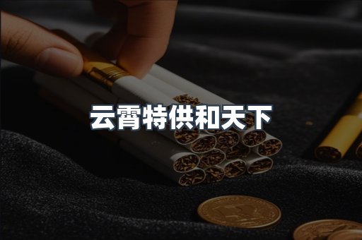 云霄特供和天下